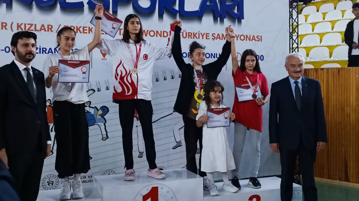 Türkiye Okullar Arası Yıldızlar Taekwondo Müsabakası